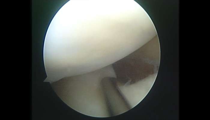 video,paylaşım,kameralı telefon,videofon,ücretsiz,yükleme